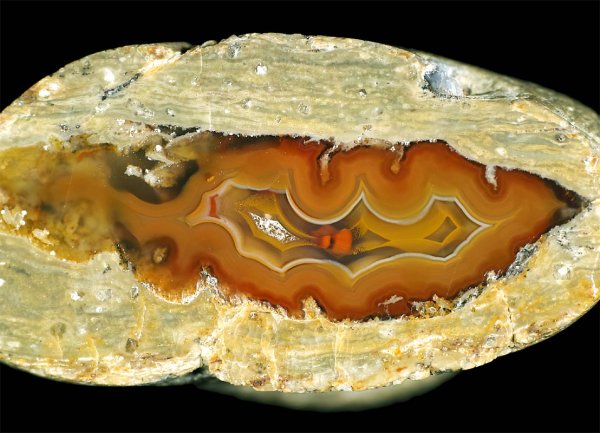 画像5: 瑪瑙ペア(サンダーエッグ) Black Sea Region, Turkey