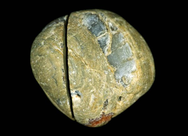 画像6: 瑪瑙ペア(サンダーエッグ) Black Sea Region, Turkey