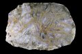 瑪瑙/紫水晶(ジグザグ・アゲート) Czech