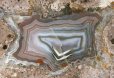 画像2: 瑪瑙(サンダーエッグ) Nowy Kosciol, Poland (2)