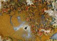 画像2: 瑪瑙(モスアゲート) Indonesia (2)