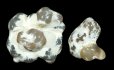 画像3: 玉髄(スネークスキンアゲート) Oregon, U.S.A. 2pieces (3)
