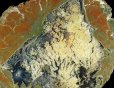 画像2: 瑪瑙(プライデーランチ・プルームアゲート) Oregon, U.S.A. (2)