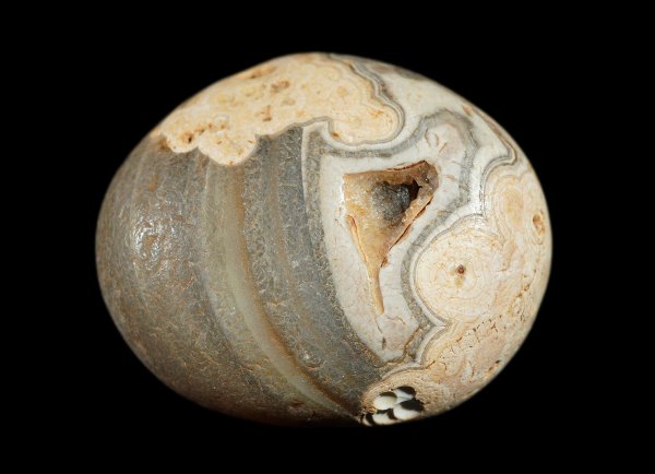 画像1: 瑪瑙 Ratanpur, India