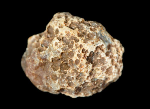 画像3: 瑪瑙 Ngabu, Malawi