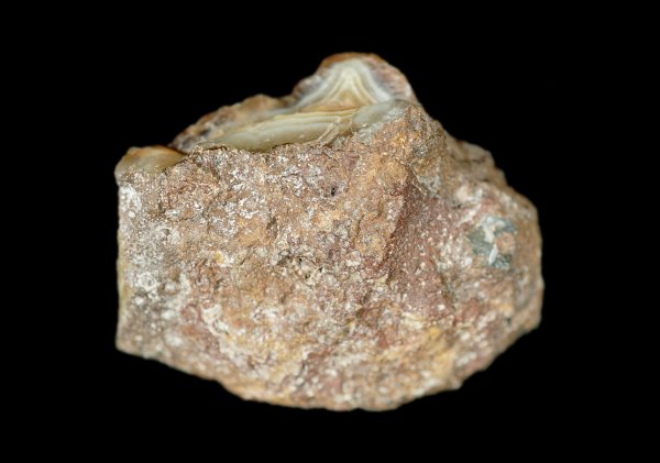 画像3: 瑪瑙 Ngabu, Malawi