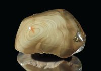 碧玉(ウイスキークリーク・ジャスパー) Idaho, U.S.A.