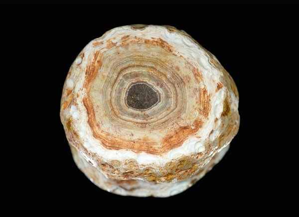 画像1: 瑪瑙 Ratanpur, India