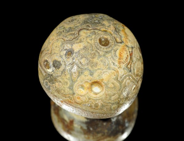 画像1: 瑪瑙 Ratanpur, India