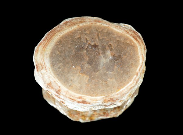 画像3: 瑪瑙 Ratanpur, India