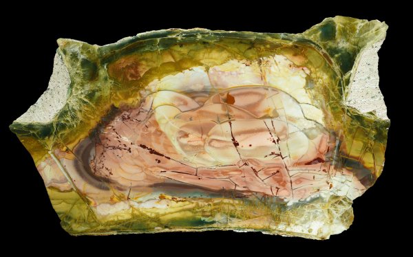 画像1: 碧玉(モリソナイト・ジャスパー) Oregon, U.S.A.