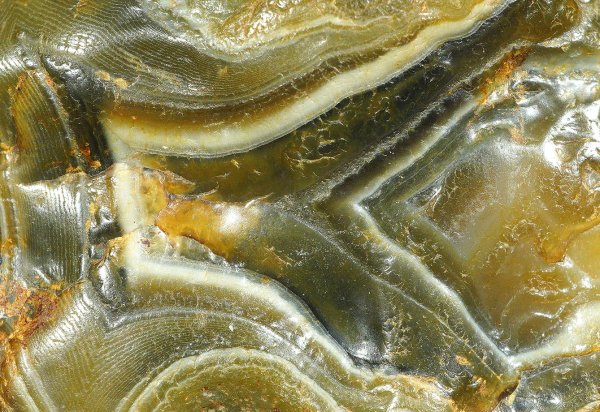 画像4: 瑪瑙 Ratanpur, India