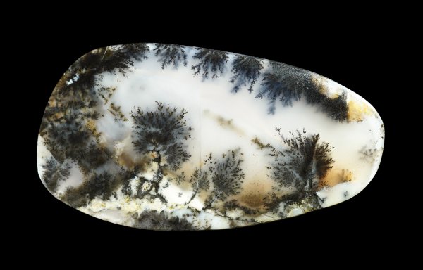 画像1: 瑪瑙(デンドリティックアゲート) Kazakhstan