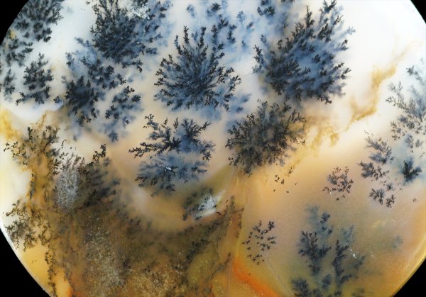 画像2: 瑪瑙(デンドリティックアゲート) Kazakhstan