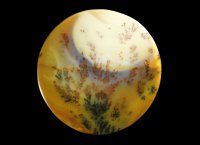 瑪瑙(デンドリティックアゲート) Kazakhstan