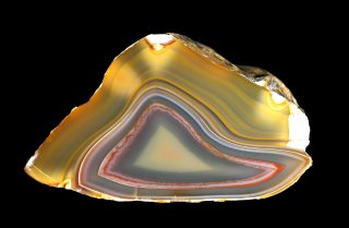 【コレクターズアイテム】コンドルアゲート ｺﾝﾄﾞﾙ ｱｹﾞｰﾄ Condor Agate - greenfloat