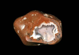 ☆H1802☆古代石 (52) 大粒 フォッシル ジャスパー 化石瑪瑙-