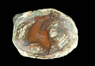 【コレクターズアイテム】コヤミトアゲート 楽天市場】Coyamito Agate コヤミトアゲート 瑪瑙 原石