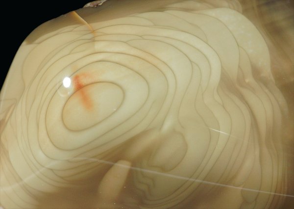 画像2: 碧玉(ウイスキークリーク・ジャスパー) Idaho, U.S.A. (2)