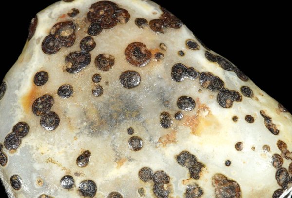 画像2: 瑪瑙 Ratanpur, India (2)