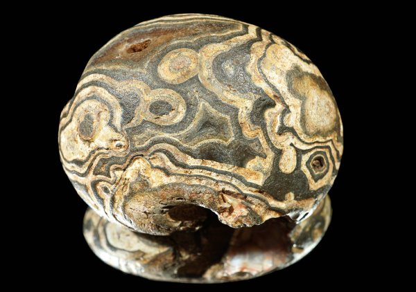 画像1: 瑪瑙 Ratanpur, India (1)