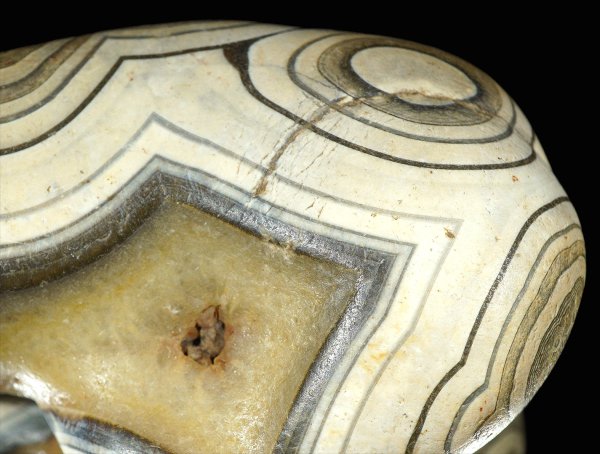 画像2: 瑪瑙 Ratanpur, India (2)