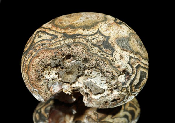 画像3: 瑪瑙 Ratanpur, India (3)