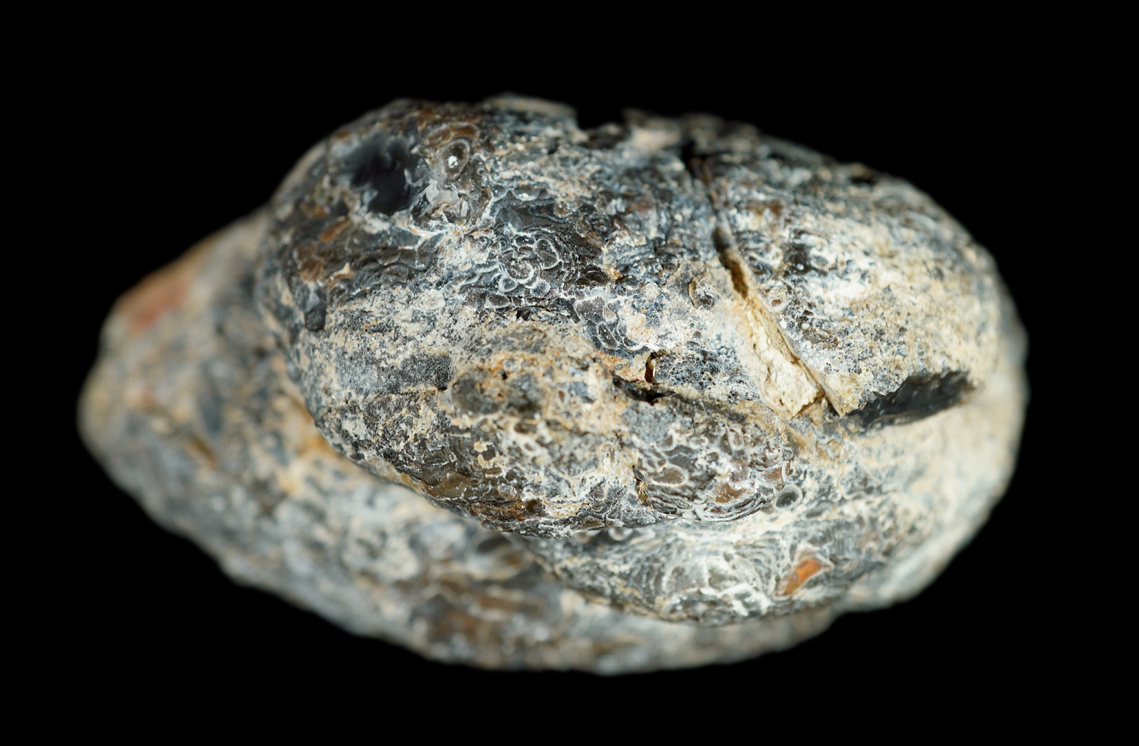 鉱物のブラジル産アメジスト・ジオードをご紹介する∥鉱物通販の